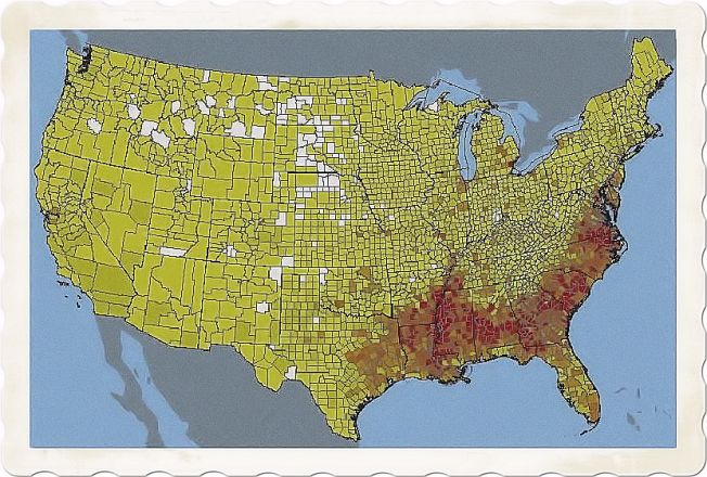Black American English spread in the USA