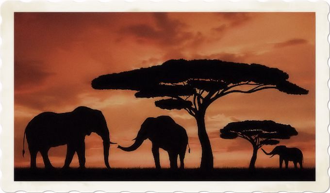 Aphorisms on Africa Aphorisms on Africa