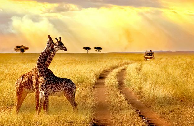 200 Best African proverbs