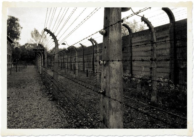 Auschwitz in order not to forget