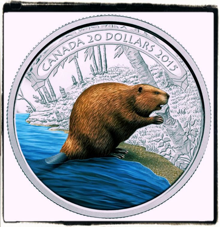 Canadian Beaver Coins