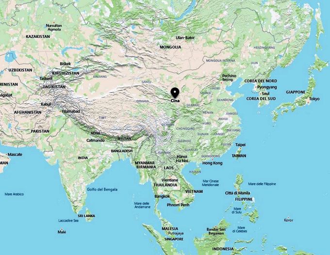 Chinese language and culture