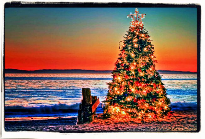 A Christmas Australian story