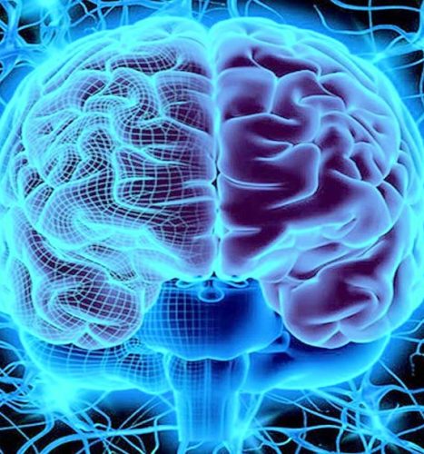 How to control your brain