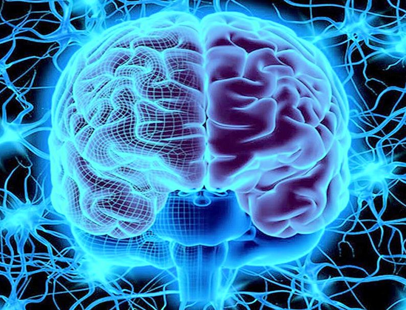 How to control your brain