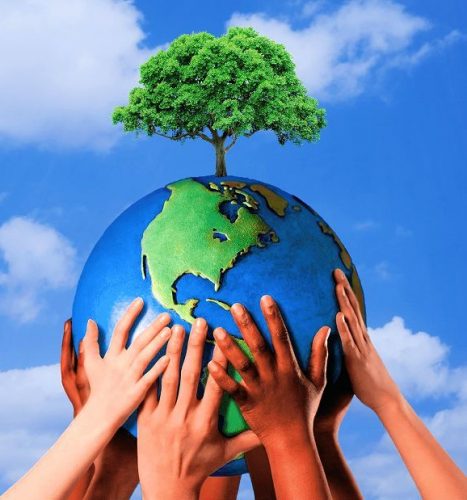 Environment questions