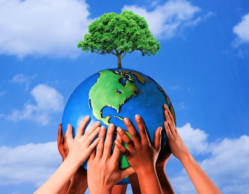 Environmental issues questions