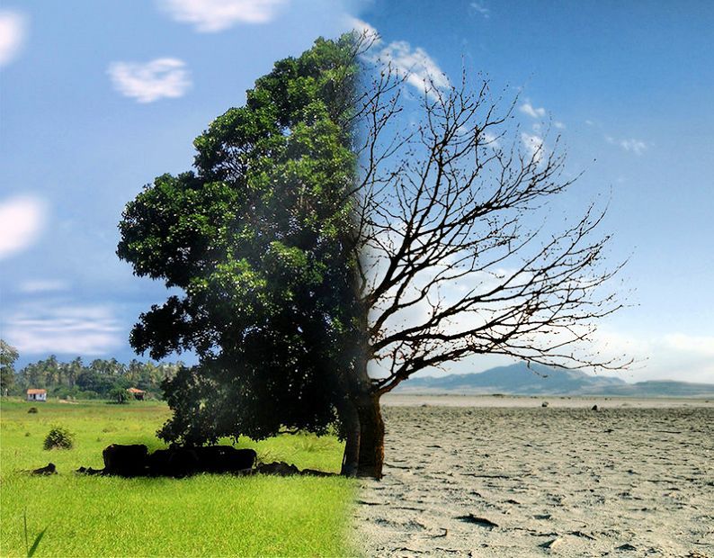 Climate change test with answers