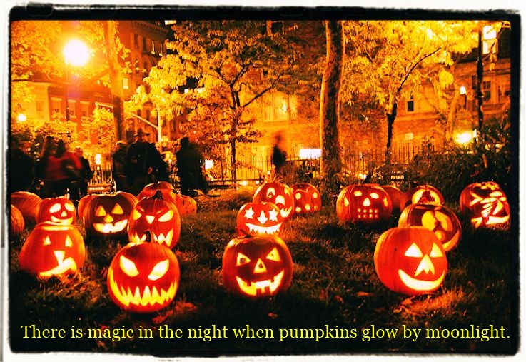 There is magic in the night when pumpkins glow by moonlight.