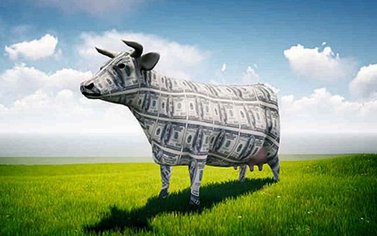 Scandali finanziari nell'Italia da mungere