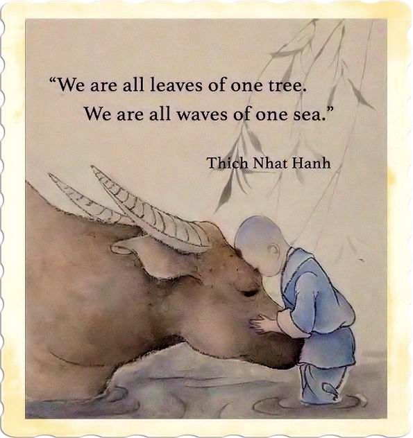 We are all leaves of one trees