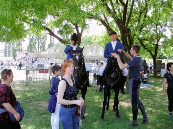 Mary and the horses Mary and the horses