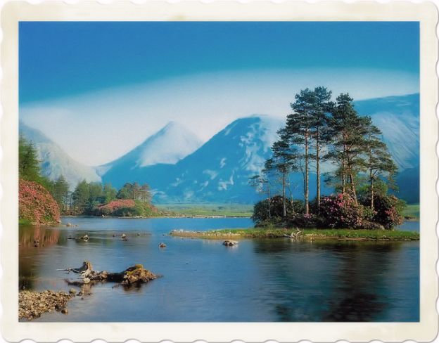 War and peace quotes