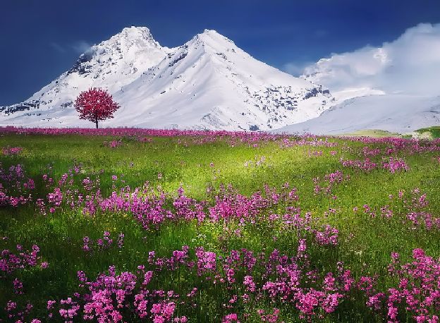 Quotes on beauty and grace