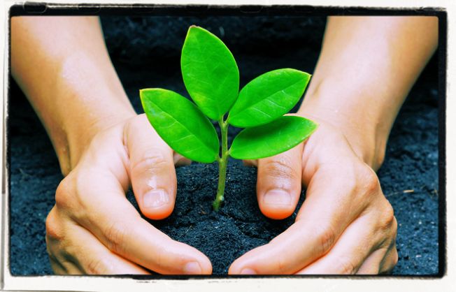 Care about self-responsability