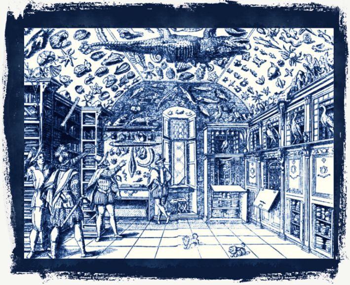 Scientific Curiosities