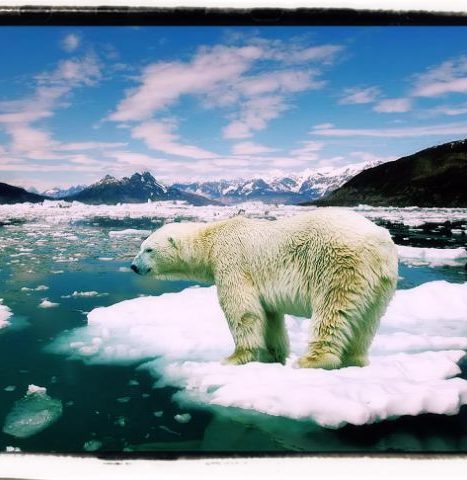 Environment climate question