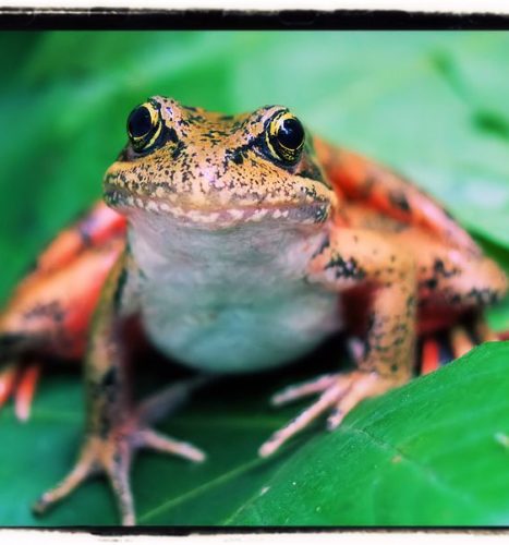 Very short stories part 2