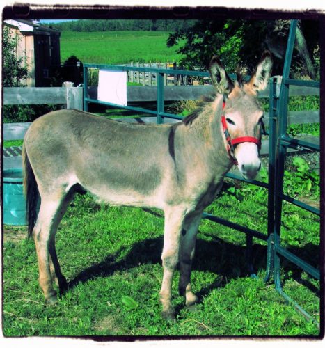 Very short stories part 1