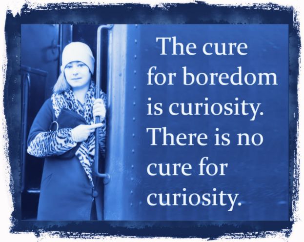 Curiosity has no cure