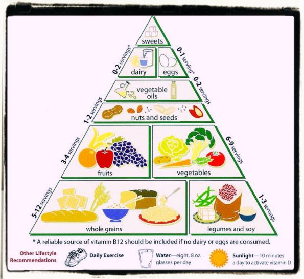 Vegetarian food pyramid