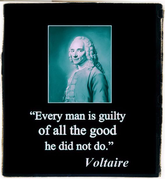Voltaire quote
