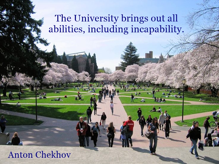 University education